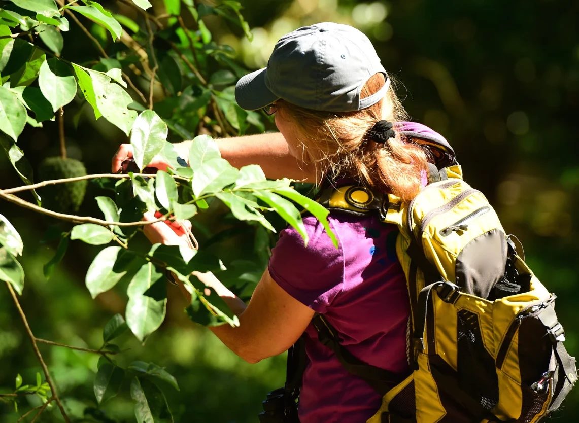 Biodiversidad y línea base ambiental en campo
