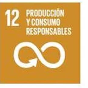 ODS 12 · Producción y consumo responsables